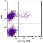 Thermo Fisher Scientific Rat anti-Mouse Lambda Light Chain Secondary Antibody, Biotin