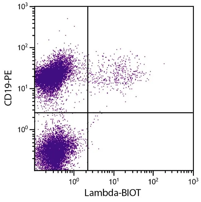Thermo Fisher Scientific Rat anti-Mouse Lambda Light Chain Secondary Antibody, Biotin