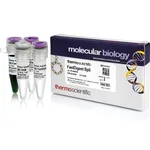 Thermo Fisher Scientific FastDigest BplI