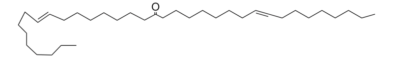 Merck 9,26-PENTATRIACONTADIEN-18-ONE-1G