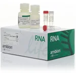 Thermo Fisher Scientific Cells-to-CT 1-Step TaqMan Kit, 400 preps