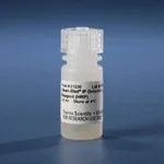 Thermo Fisher Scientific Clean-Blot IP Detection Reagent (HRP)