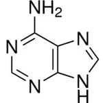 Merck ADENINE, UNITED STATES PHARMACOPEIA (USP