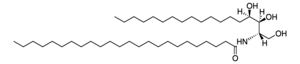 Merck N-24:0 PHYTOSPHINGOSINE