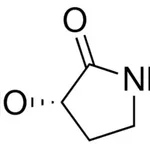 Merck (S)-3-HYDROXY-PYRROLIDIN-2-ONE-