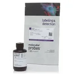 Thermo Fisher Scientific FxCycle PI/RNase Staining Solution