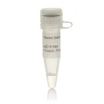 Thermo Fisher Scientific pUC19 DNA