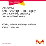 Merck Anti-Rabbit IgG (H+L), highly cross adsorbed antibody produced in donkey