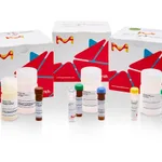 Merck FLUO-4 NO WASH CALCIUM ASSAY KIT