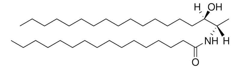 Merck N-C16-deoxysphinganine