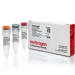 Thermo Fisher Scientific SuperScript IV One-Step RT-PCR System, Each