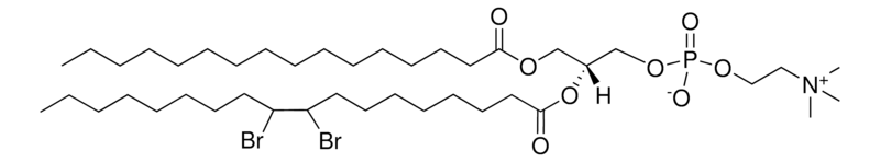Merck 16:0-18:0 (9-10BR) PC