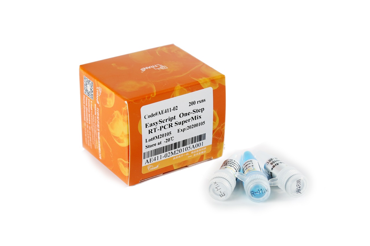 EasyScript® One-Step RT-PCR SuperMix