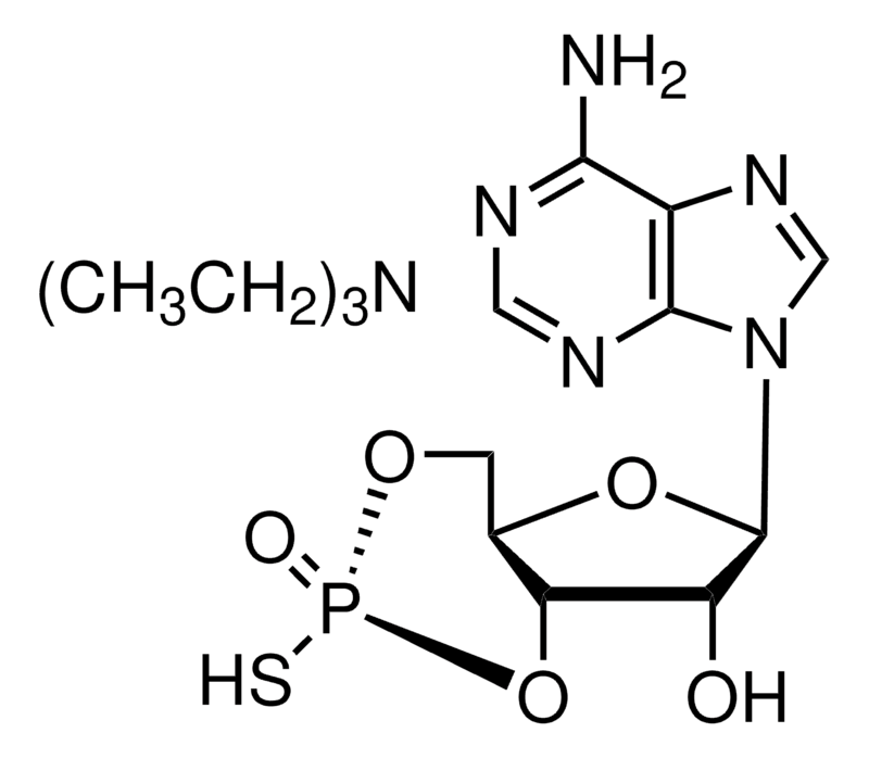 Merck Rp-Adenosine 3',5'-cyclic monophosphorothioate triethylammonium salt