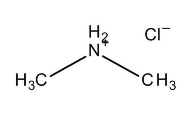 Merck DIMETHYLAMMONIUM CHLORIDE FOR SYNTHESIS