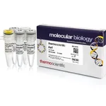 Thermo Fisher Scientific AarI (2 U/μL), 25 units