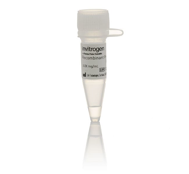 Thermo Fisher Scientific Human CDK4/cyclin D3, GST Tag Recombinant Protein