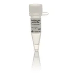 Thermo Fisher Scientific Human PRKCG (PKC gamma), GST Tag Recombinant Protein