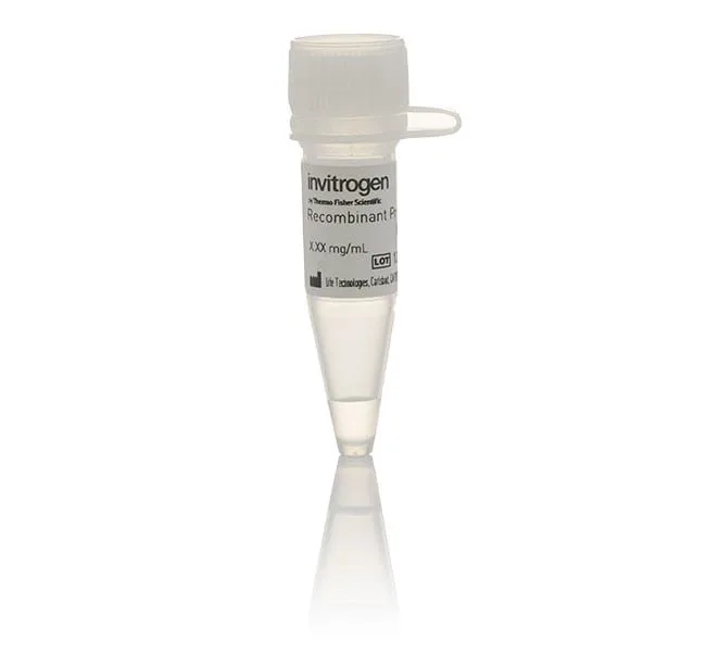 Thermo Fisher Scientific Human CDK4/cyclin D3, GST Tag Recombinant Protein