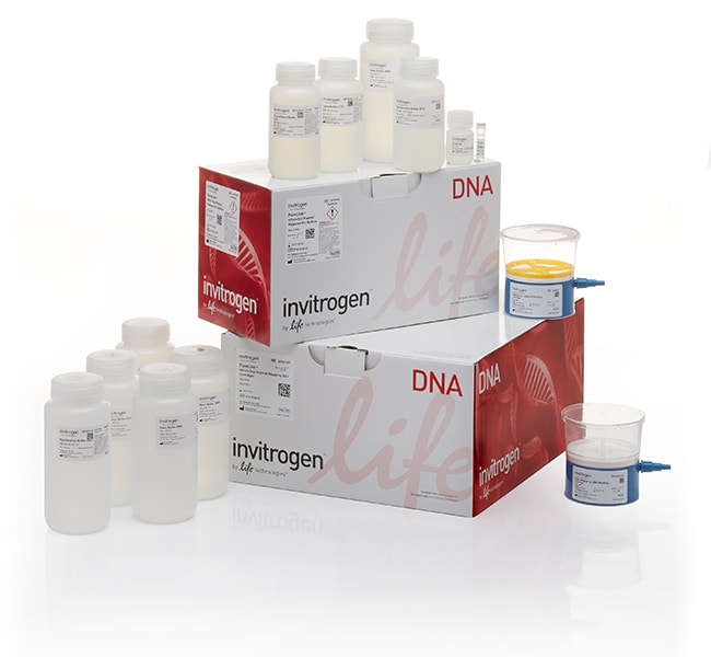 Thermo Fisher Scientific PureLink HiPure Expi Plasmid Megaprep Kit