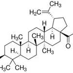 Merck BETULINIC ACID, TECH., 90%