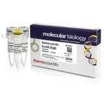 Thermo Fisher Scientific Eco52I (EagI) (10 U/μL), 500 units