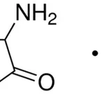 Merck DL-HOMOCYSTEINE THIOLACTONE HYDROCHLORI&