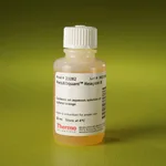 Thermo Fisher Scientific Pierce Peroxide Assay Reagent B