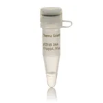 Thermo Fisher Scientific pTZ19R DNA