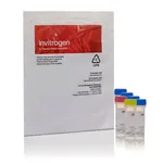 Thermo Fisher Scientific Rhod-3 Calcium Imaging Kit