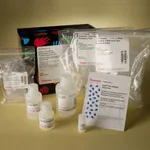 Thermo Fisher Scientific Pierce Biotinylated Protein Interaction Pull-Down Kit