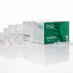 Thermo Fisher Scientific PureLink RNA Mini Kit, 10 Preps