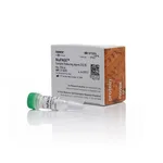 Thermo Fisher Scientific NuPAGE Sample Reducing Agent (10X), 250μL