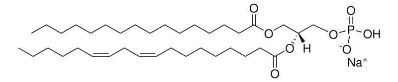 Merck Soy PA