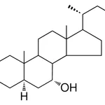 Merck 7-ALPHA-HYDROXY-5-ALPHA-CHOLES - 1 MG&