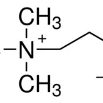 Merck CHOLINE HYDROXIDE, 45 WT. % SOLUTION IN