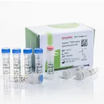 Thermo Fisher Scientific TaqMan P35S Maize Quantification Kit