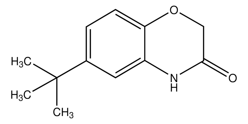 Merck 6-tert-butyl-2H-benzo[b][1,4]oxazin-3(4H)-one