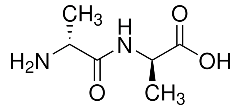 Merck D-Ala-D-Ala