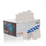 Thermo Fisher Scientific CyQUANT MTT Cell Viability Assay