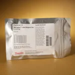 Thermo Fisher Scientific TMT10plex Isobaric Label Reagent Set, 1 x 0.8 mg, 1 x 0.8 mg (per tag), 10 reactions