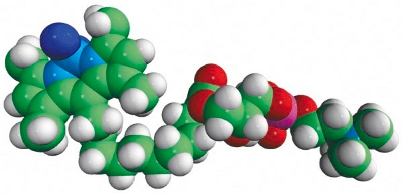 Merck TopFluor(R) Lyso PC