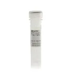 Thermo Fisher Scientific MCF7 (+hIGF-1) Control Lysate (1 mg/mL)