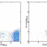 Thermo Fisher Scientific Rat anti-Mouse IgG (H+L) Secondary Antibody, FITC, eBioscience