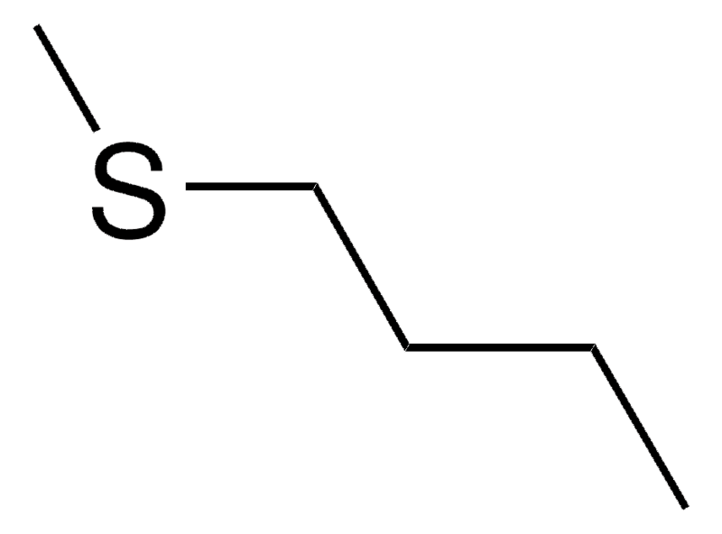 Merck BUTYL METHYL SULFIDE