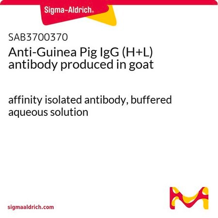 Merck Anti-Guinea Pig IgG (H+L) antibody produced in goat