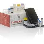 Thermo Fisher Scientific ProcartaPlex Human Cytokine & Chemokine Convenience Panel 1A, 34plex