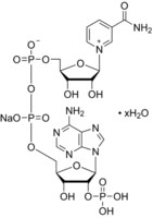 Merck B-NICOTINAMIDE ADENINE DINUCLEOTIDE