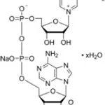 Merck B-NICOTINAMIDE ADENINE DINUCLEOTIDE