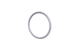 Waters O-Ring, FKM, BS132